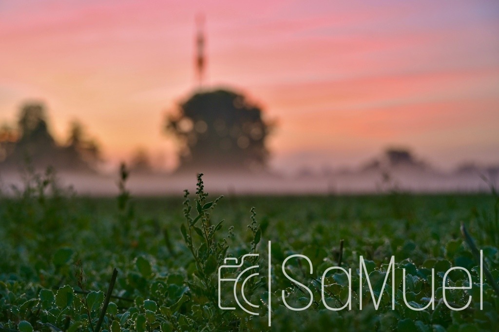SML_6453 | Sa-Muel - Realisiert mit Pictrs.com