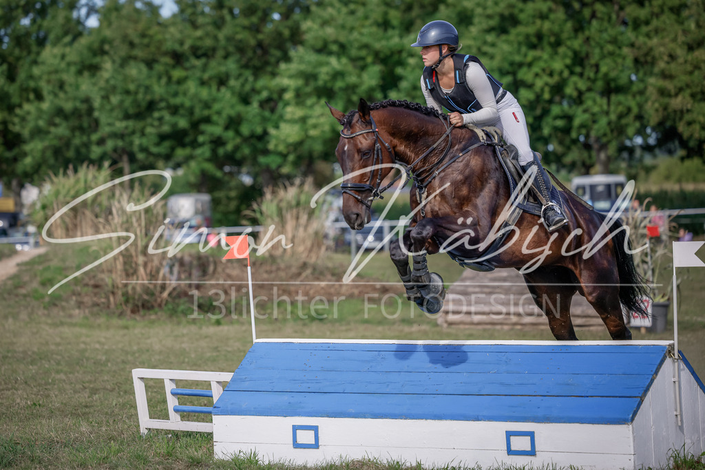 20250907-_3LI9276 | Tierfotografie Pferde, Hunde, Katzen, Haustiere.
Turnierfotografie Reitturniere, Reiten, Springreiten, Dressur in Hanau, dem Main-Kinzig-Kreis und dem Rhein-Main- Gebiet um Frankfurt