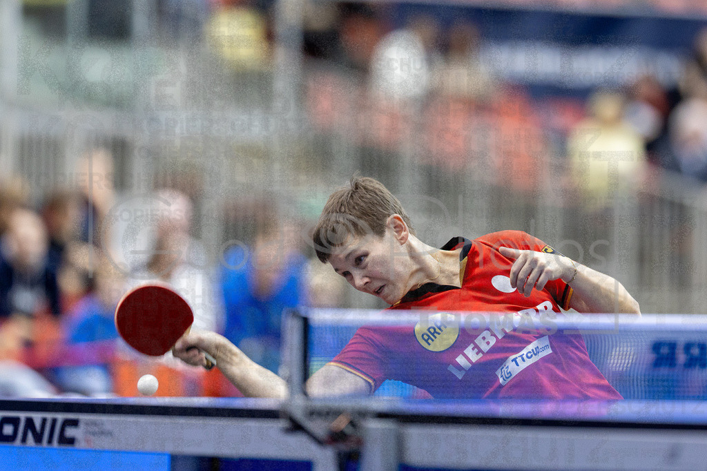 European_Championships_2024-10-19_060 | good-photos - Realisiert mit Pictrs.com