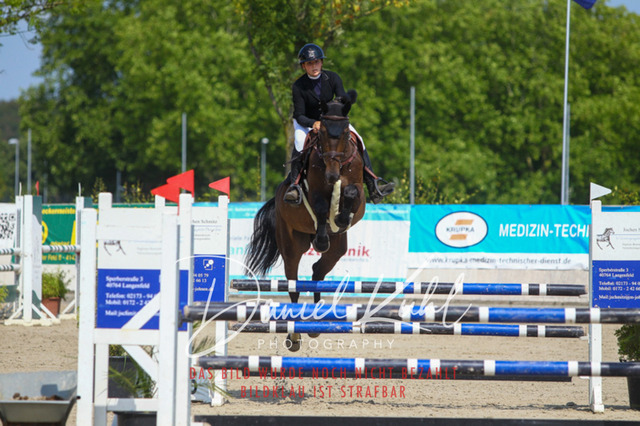 Gut Blee25_Amateuer Stilsprpfg Kl L_0306 | Turniersportfotografie; Pferdefotografie; Dressurfotografie