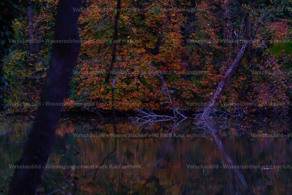 DSC06067 | marcuslinek