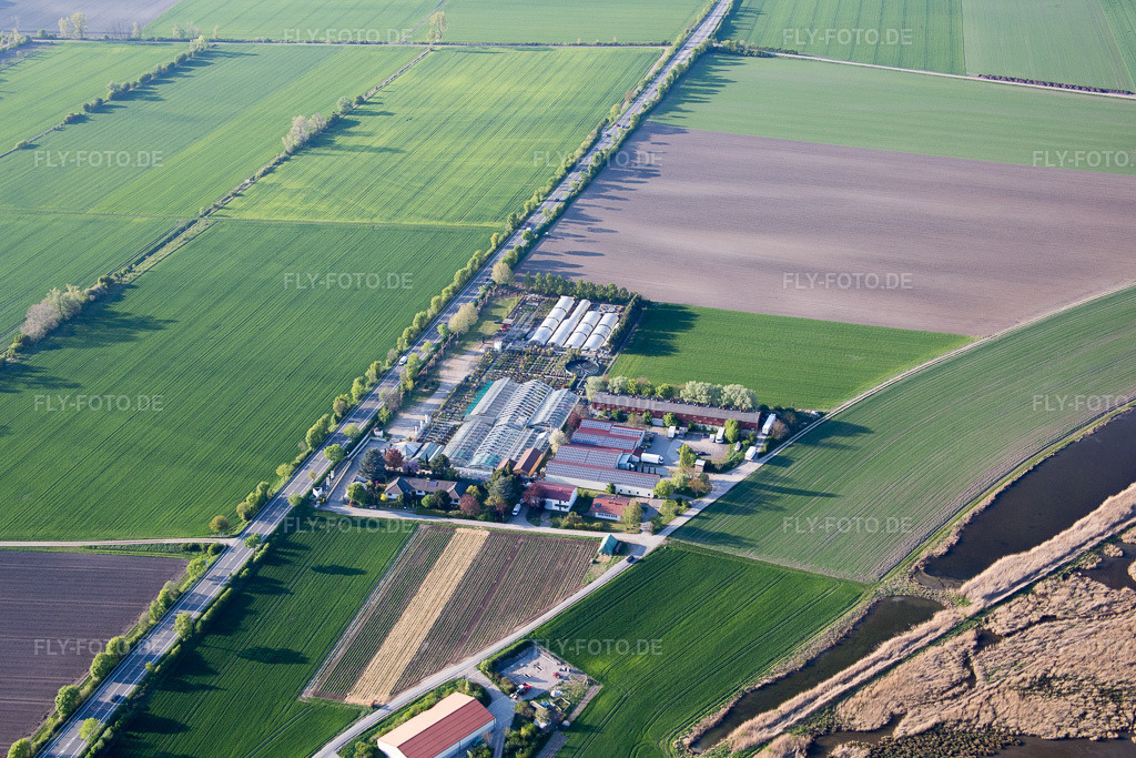 Luftbild: Gärtnerei Tils im Ortsteil Rheindürkheim in Worms im Bundesland Rheinland-Pfalz in Deutschland. Foto: IMG_077607.jpg vom 23.04.2015 durch Werner Riehm/FLY-FOTO.de