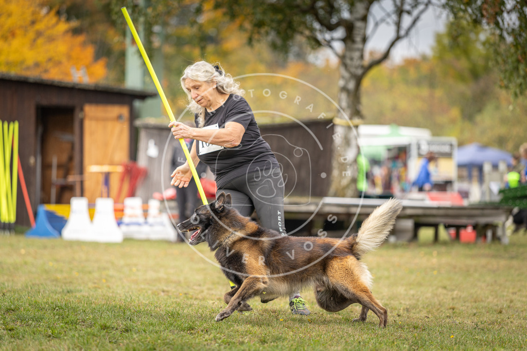 Pfotenfotografie_DV3A5484 | Hundefotografie, Tierfotograf, Pfotenfotografie, Fotoshooting Hund, Hunde Portrait, Hundesport, Hundeportraits, Heideshooting, Hunde, Sportfotograf, Hundefotograf, Turnierhundsport, THS,  - Realisiert mit Pictrs.com