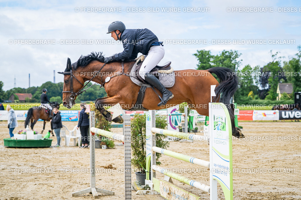 DSC03894 | Pferdegrafie