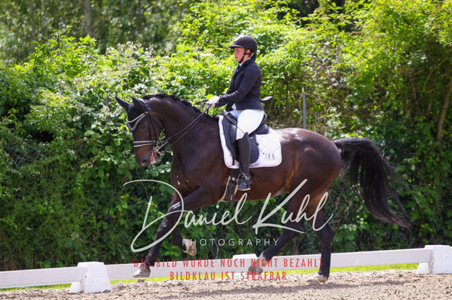 DKP41036 | Turnierfotos kaufen im Webshop von Daniel Kuhl Photography – entdecke professionelle Reitsportfotos aus Turnieren & Events. Hochwertige Turnierbilder online bestellen & sichern. Jetzt Fotos von Reitsportturnieren kaufen!