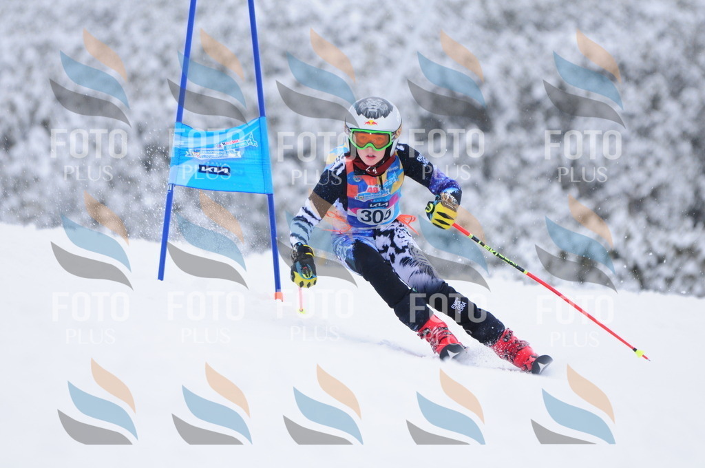 C3231 | holidayphoto