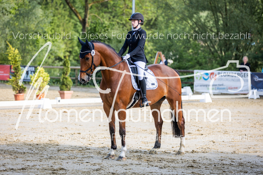 Donop24-A-Dre-034 | MomenTaufnahmen Pferdesportfotos