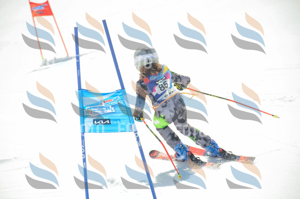 _ELE5619 | holidayphoto