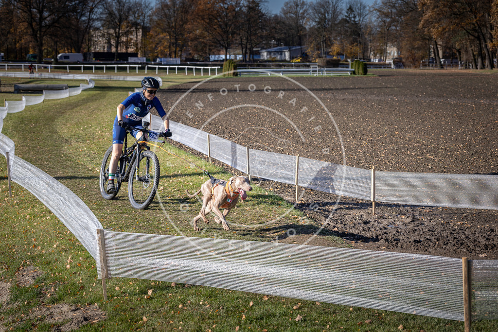CaniXpix_DV3A6741 | Hundefotografie, Tierfotograf, Pfotenfotografie, Fotoshooting Hund, Hunde Portrait, Hundesport, Hundeportraits, Heideshooting, Hunde, Sportfotograf, Hundefotograf, Turnierhundsport, THS,  - Realisiert mit Pictrs.com