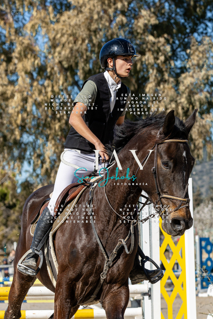 IMG_8991 | s-jay-photography - Realisiert mit Pictrs.com