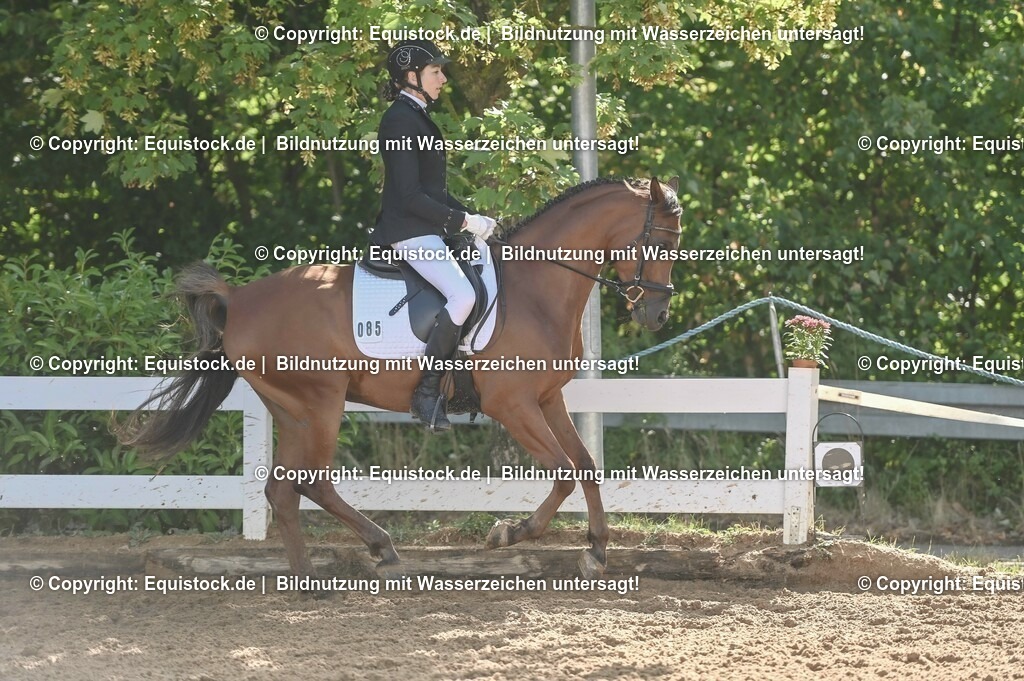 20230716_04_Dressurreiterprüfung Kl.A_0154 | equistock