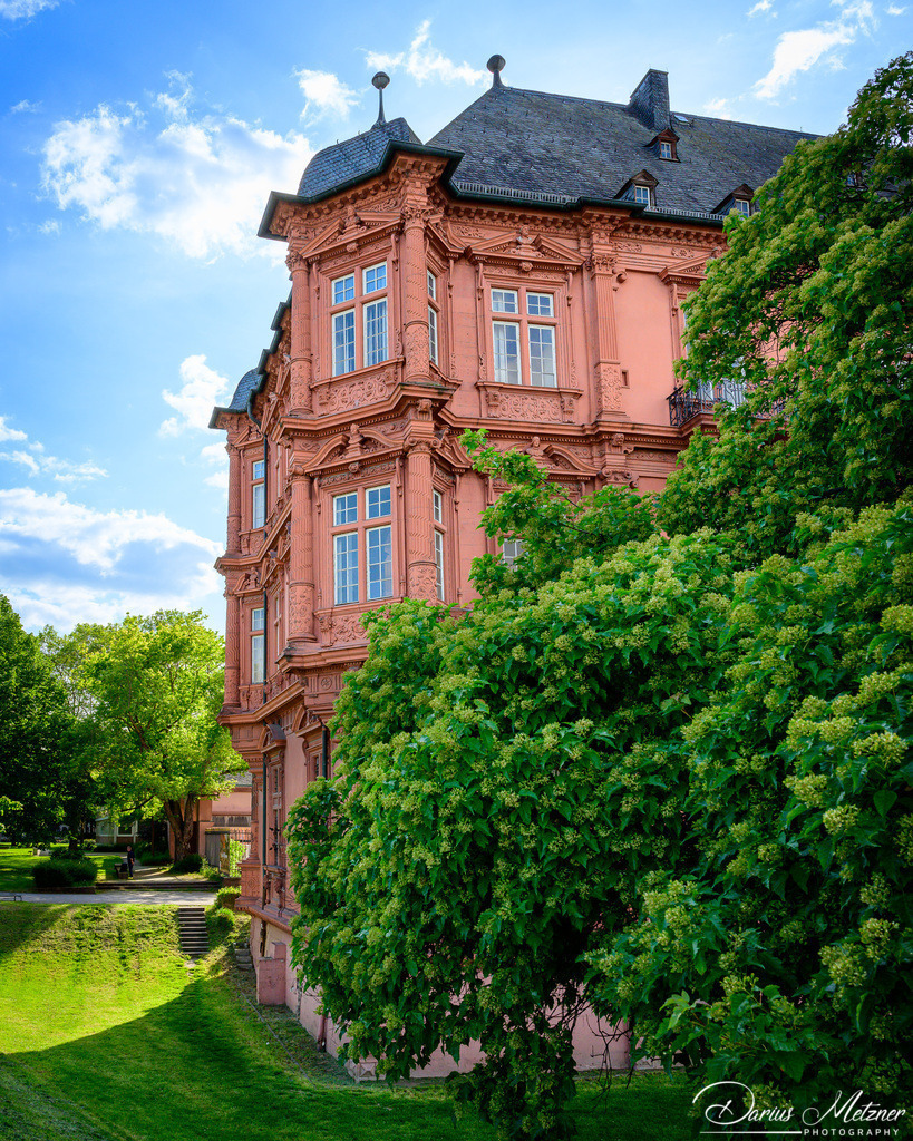 Das Kurfürstliches Schloss Mainz | Das Kurfürstliches Schloss Mainz