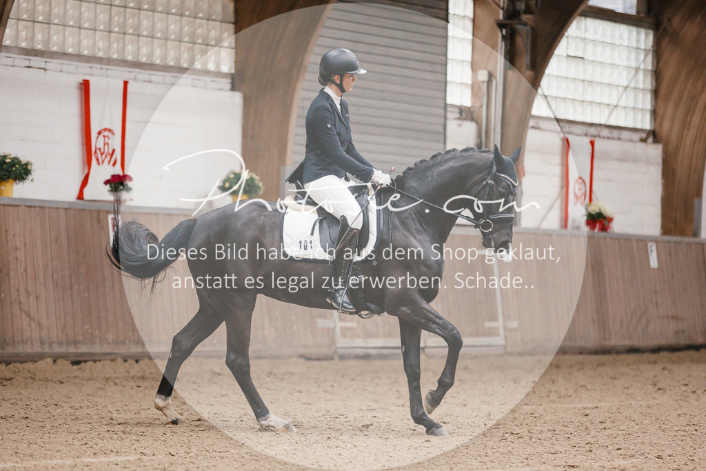 3I6A6166 | Stimmungsvolle Portraits und Reitsportfotografie im Ruhrgebiet und im Münsterland.

Pferdefotografie, Hundefotografie, Tierfotografie, Reportagen, Portraits von Tier und Mensch, Turnierfotografie in Bochum, Recklinghausen, Marl, Haltern am See, Dülmen.. - Realisiert mit Pictrs.com