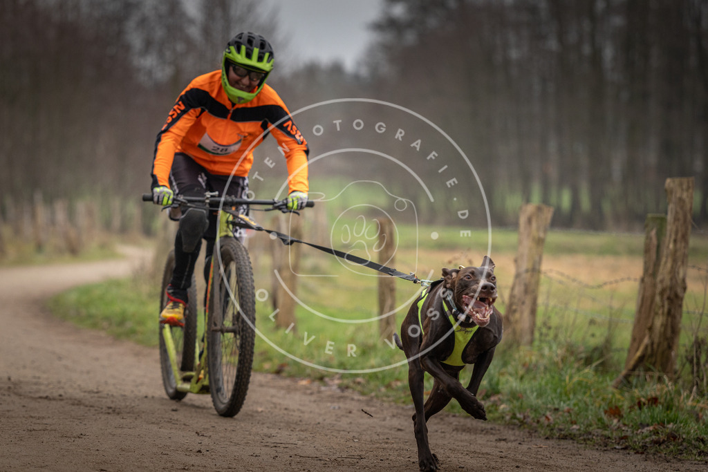 Pfotenfotografie_DV3A2202 | Hundefotografie, Tierfotograf, Pfotenfotografie, Fotoshooting Hund, Hunde Portrait, Hundesport, Hundeportraits, Heideshooting, Hunde, Sportfotograf, Hundefotograf, Turnierhundsport, THS,  - Realisiert mit Pictrs.com