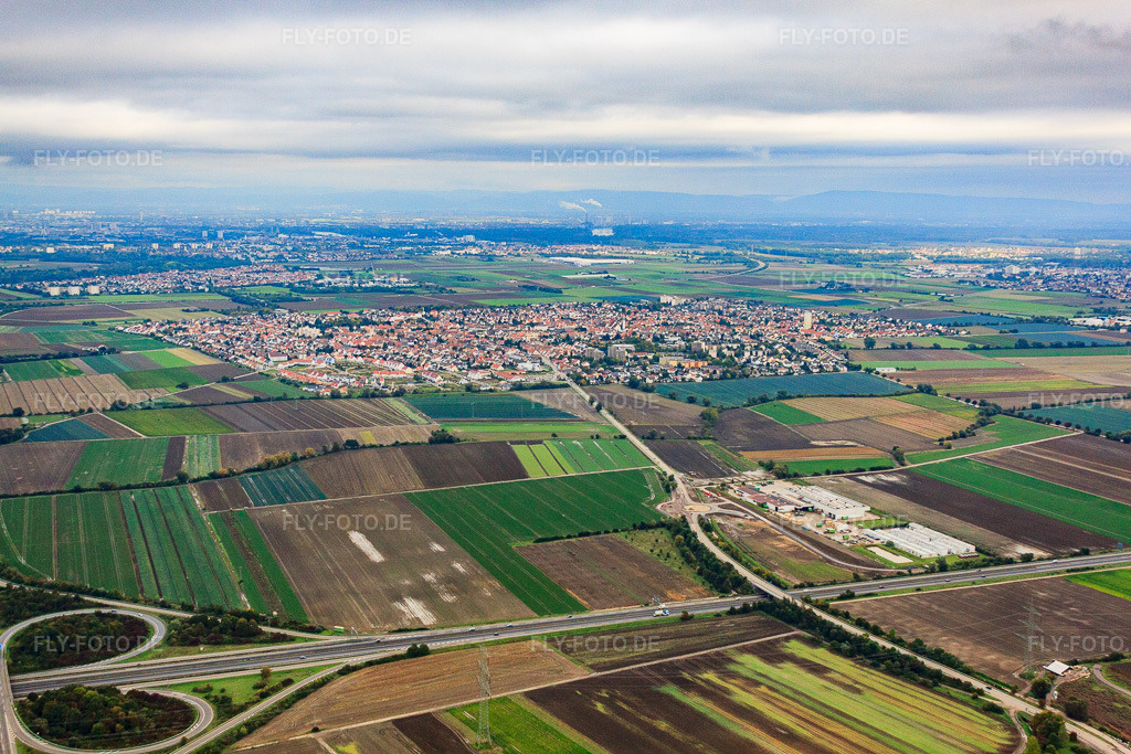 Luftbild: Ortsansicht von Westen in Mutterstadt im Bundesland Rheinland-Pfalz in Deutschland. Foto: IMG_34185.jpg vom 02.10.2010 durch Werner Riehm/FLY-FOTO.de – Auflösung des Originals: 4752 x 3168 px