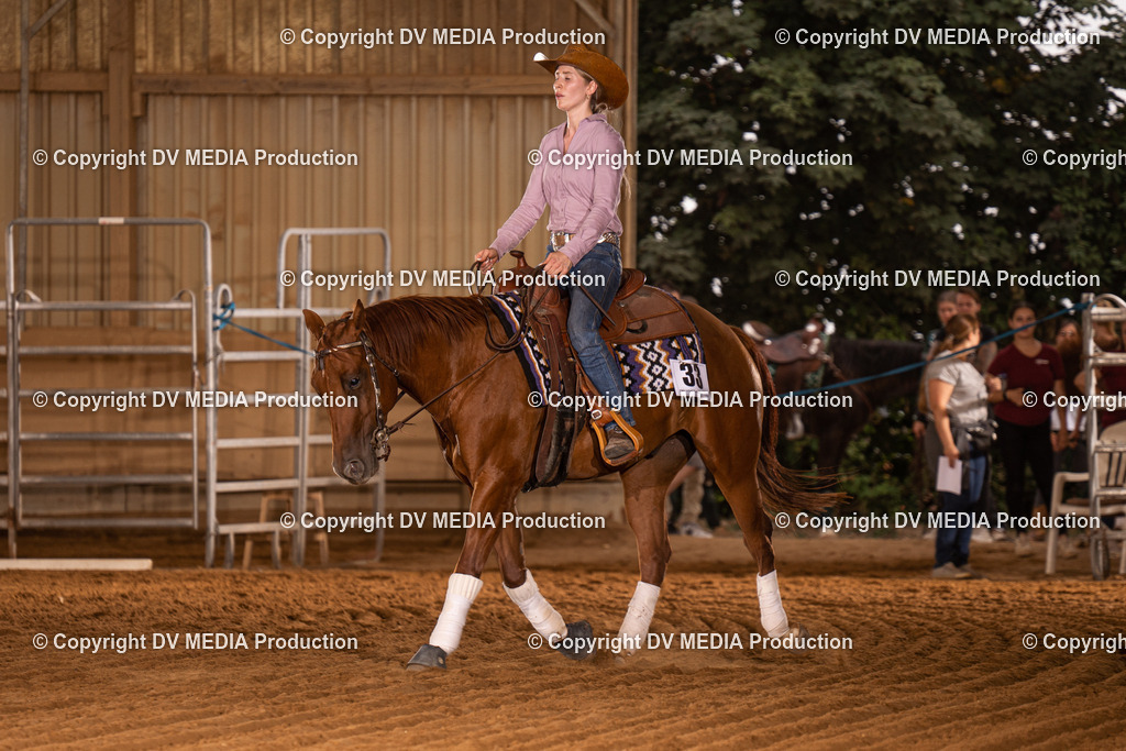 NID01006 | dv-media-shop - Realisiert mit Pictrs.com