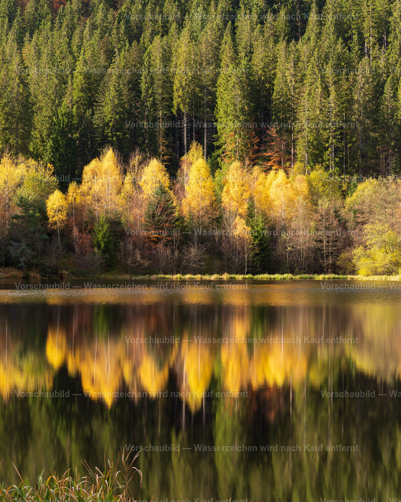 Sankenbachsee Im Schwarzwald | im Herbst -Hochformat- - Realisiert mit Pictrs.com