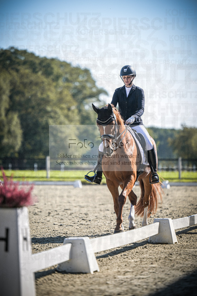 DOS_2601 | Entdecke hochwertige Reitturnierfotos von Foto Oger. Professionell, emotional und authentisch – jetzt Lieblingsmomente im Shop bestellen.Deutschlandweite Turnierfotografie. - Realisiert mit Pictrs.com