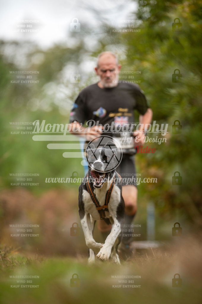 TSB_2023_E5_Canicross-64 | PayLife