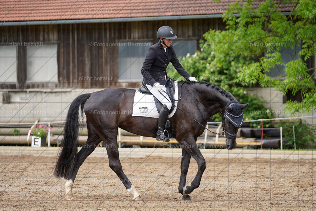 20240519-FAH04853 | Turnierbilder Niederseeon 2024, Vielseitigkeitsdressur, Reitsportbilder aus dem Landkreit Ebersberg, Gut Steinsee, RC Steinsee, Fotoagentur Herrmann