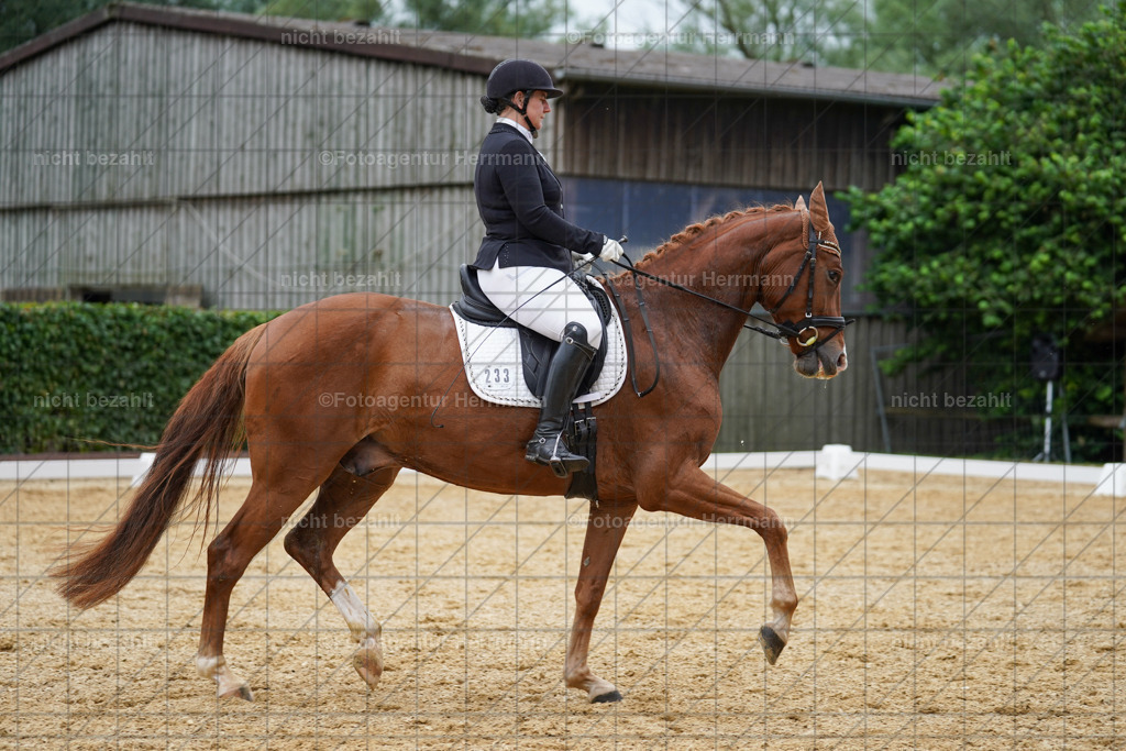 20240630-FAH00806 | Turnierbilder Schwabmünchen, Dressurbilder, Springreitturnier, Reitsportbilder, Turnierfotografen Bayern, Turnierfotograf