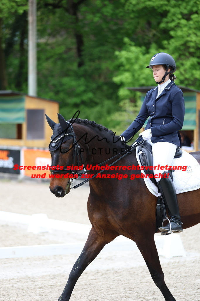 A40A0676 | lmwpictures - Realisiert mit Pictrs.com