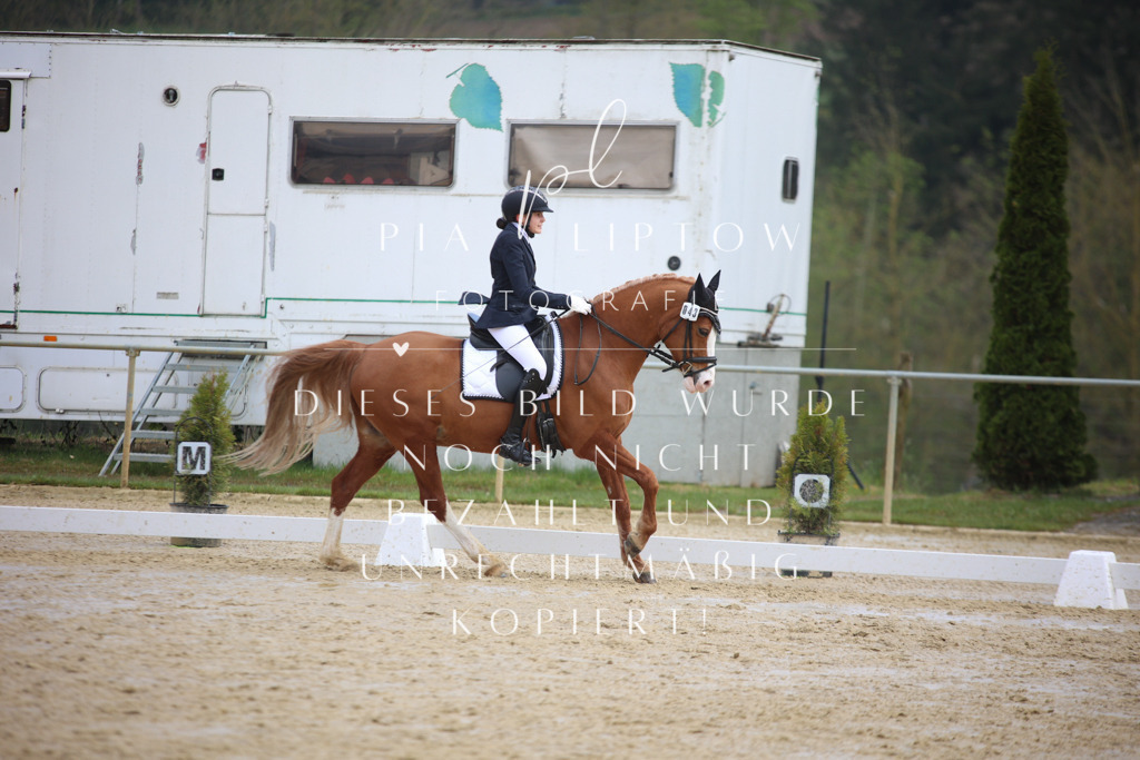 IMGT4040 | pl-fotografie