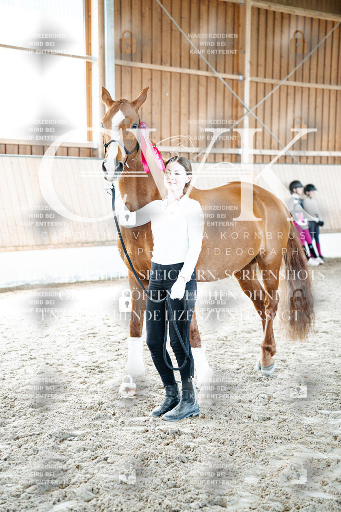 CK703207 | Turnierfotografie Pferdefotografie Trier Rheinland-Pfalz Pferdesport Reitsport Tierfotografie Sportfotografie Pferdevideo Pferdevideografie Equestrianvideography equestrianphotography  - Realized with Pictrs.com