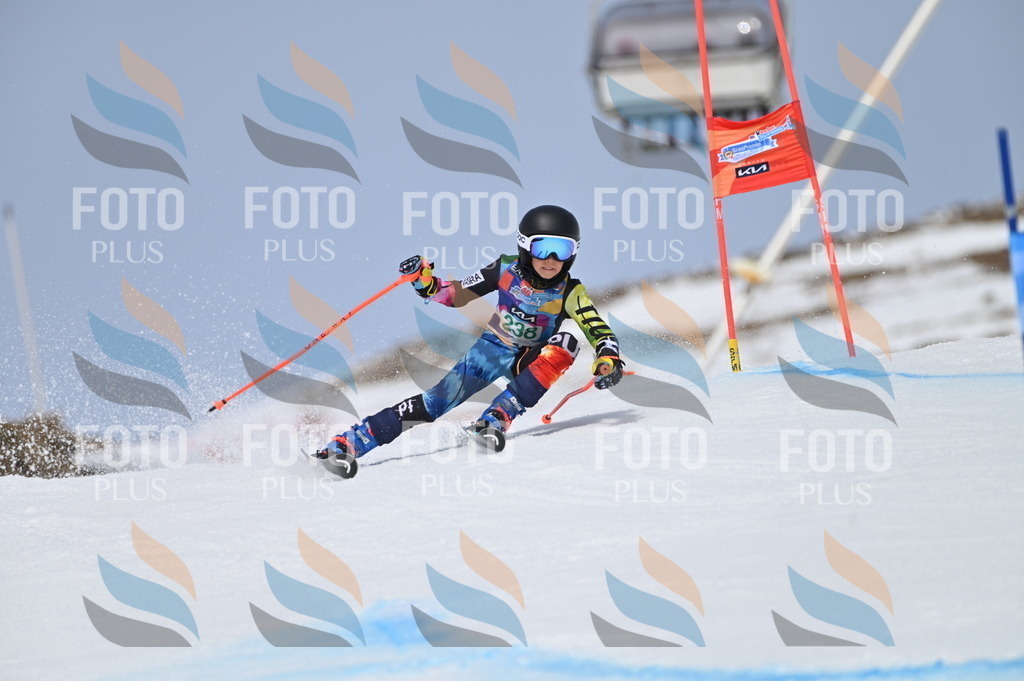 BGV_4700 | holidayphoto