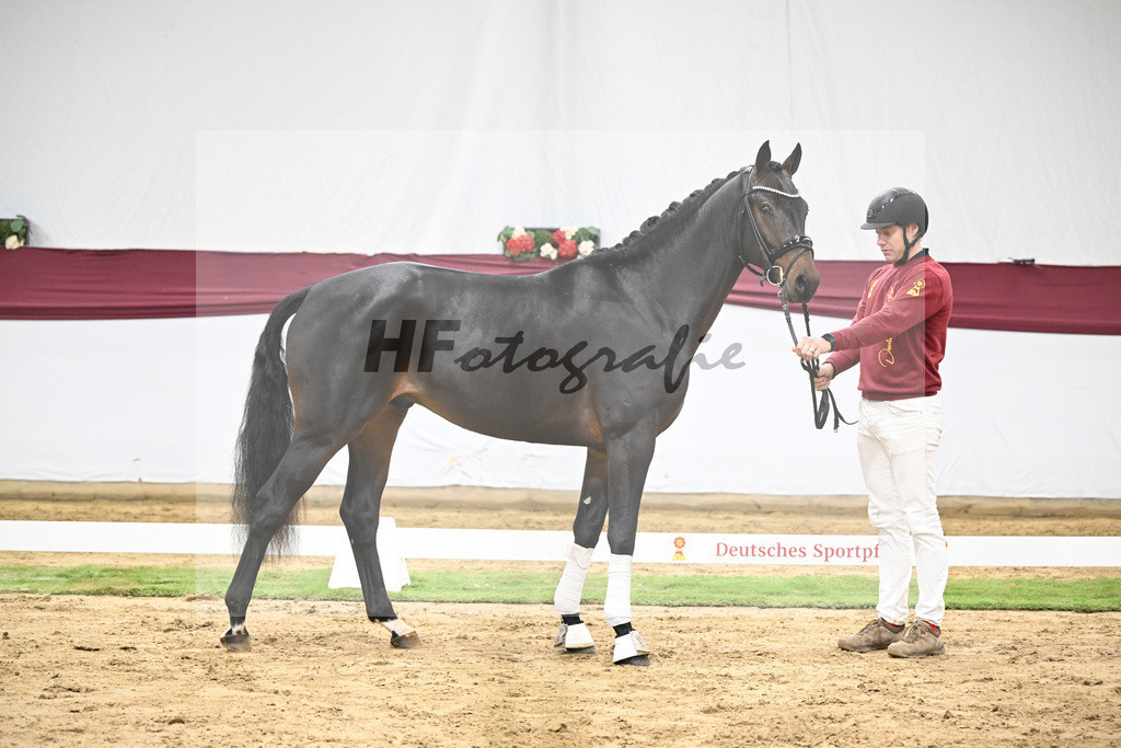 Kat-Nr. 46 Zenetti x Ritz Carlton_Udo Kast_47251613 | hf-fotografie - Realisiert mit Pictrs.com