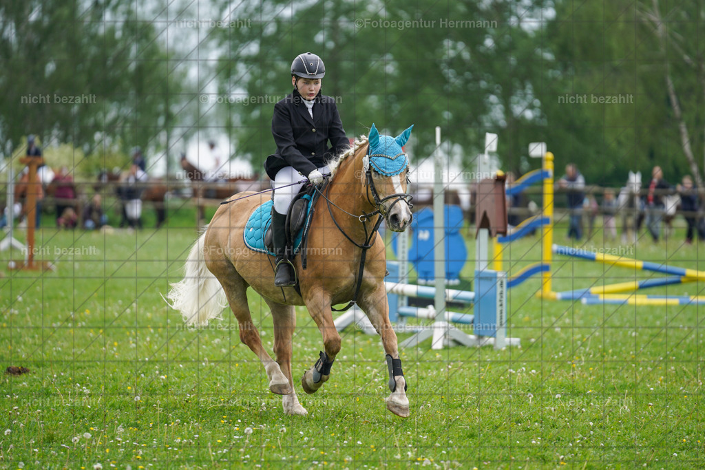 20240509-FAH02381 | Turnierbilder der Turnierfotografen Bayern, Pferdesport Fotografie, Reitsportbilder, Turnier Landberg am Lech, Turnierbilder bayern, Fotoagentur Herrmann
