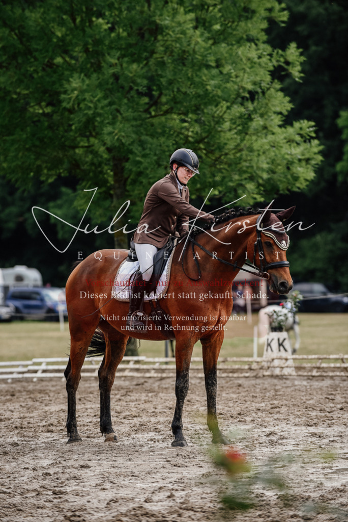 DSC_9553 | Pferde- und Turnierfotografie in Westsachsen. Pferdeportraits, Auftragszeichnungen und intuitive Kunst.