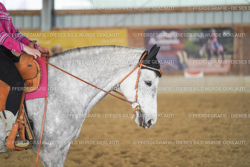 DSC04196 | Pferdegrafie