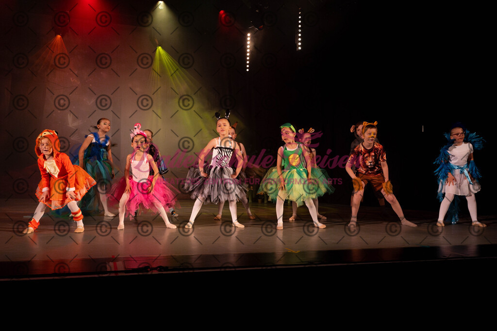 Ballettaufführung-1046 | Bildershop Lem'n Entertainment - Realisiert mit Pictrs.com