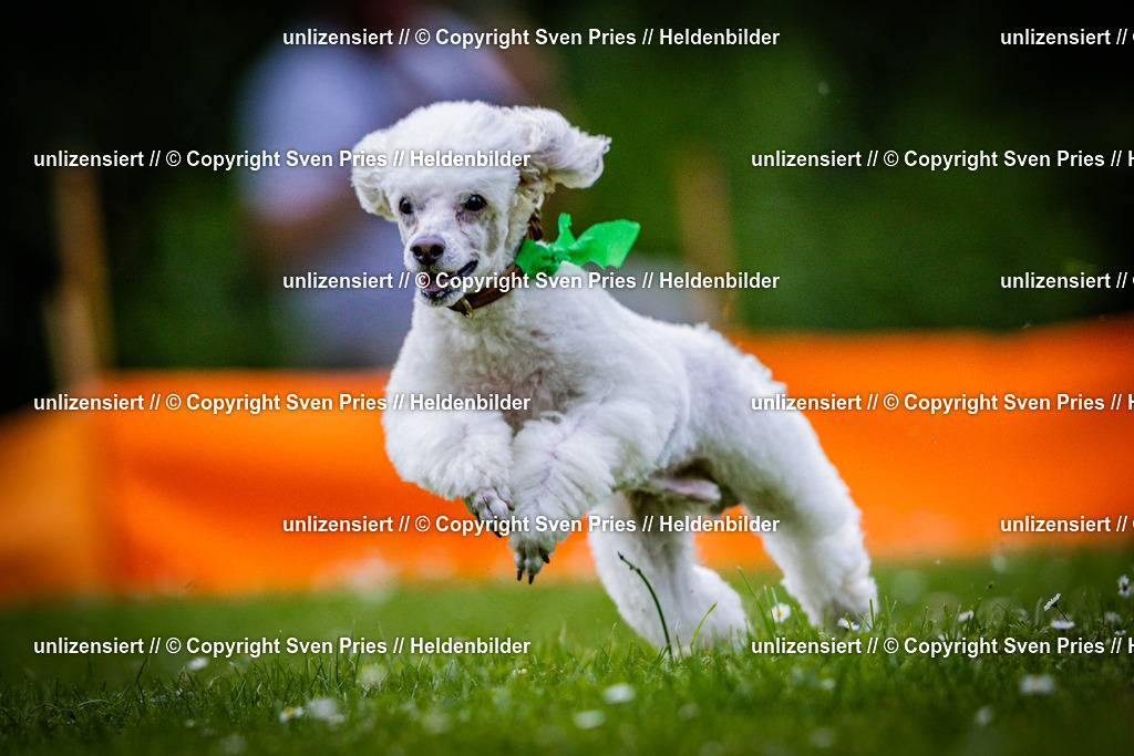 Sven Pries | 2025-05-29 - Pudelrennen KA-Durlach - Realisiert mit Pictrs.com