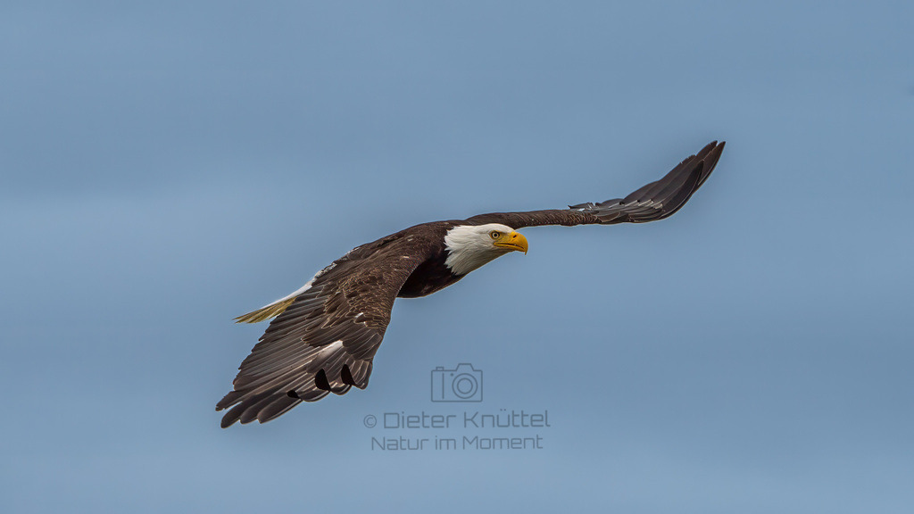 P1628319-Bearbeitet-2023-LR | Natur im Moment - Realisiert mit Pictrs.com