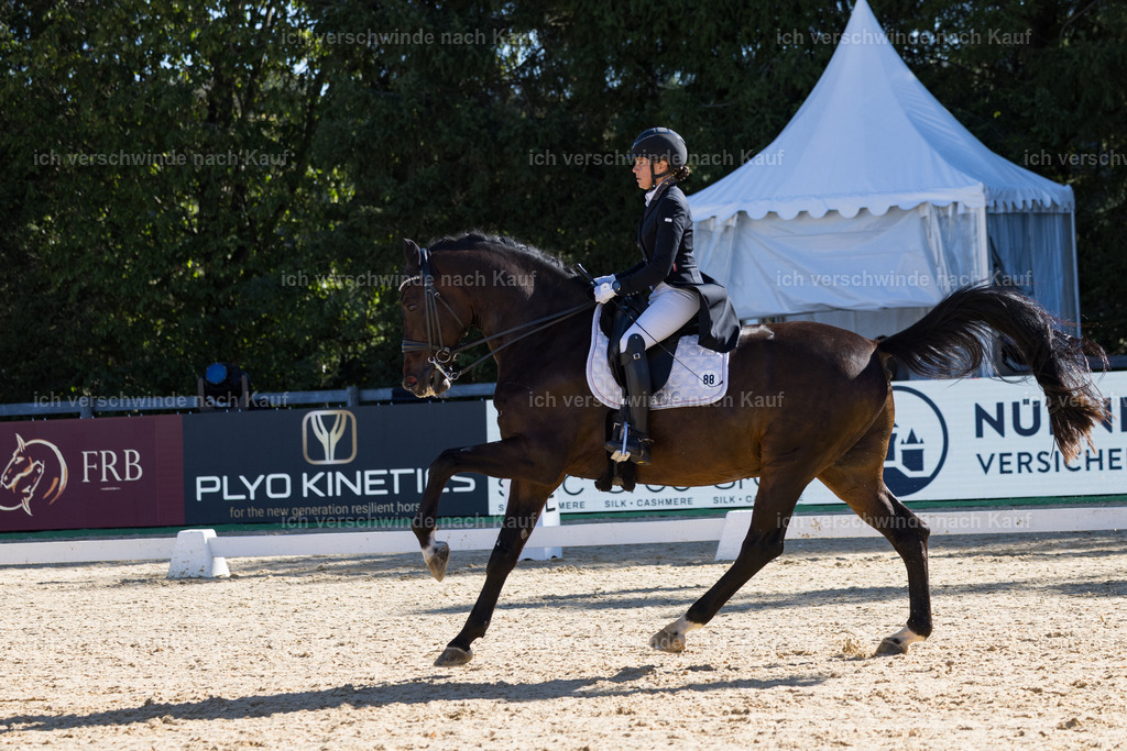 FHC2026_P07_88_17628 | working equitationturnier fotograf videograf stoibphotography marixx film working equitation deutschland reitsport turnierfotografie eventfotografie equestrian events