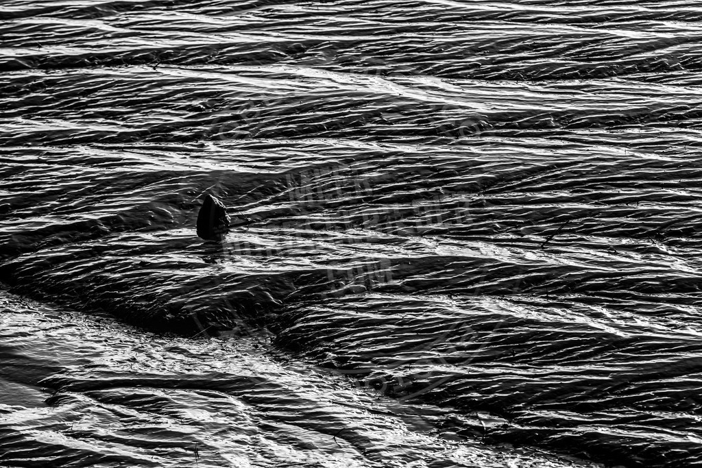 Stein im Watt | Wattenmeer