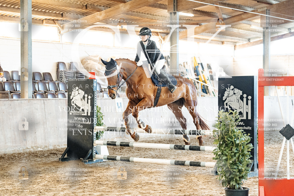 CK904075 | Turnierfotografie Pferdefotografie Trier Rheinland-Pfalz Pferdesport Reitsport Tierfotografie Sportfotografie Pferdevideo Pferdevideografie Equestrianvideography equestrianphotography  - Realisiert mit Pictrs.com