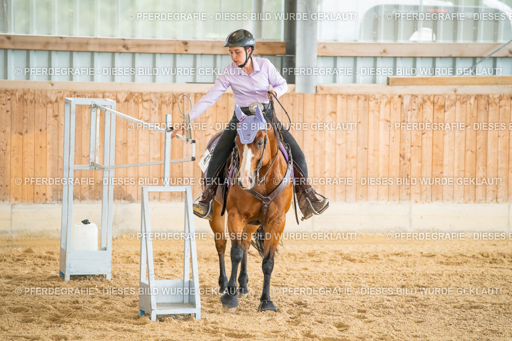 DSC07104 | Pferdegrafie