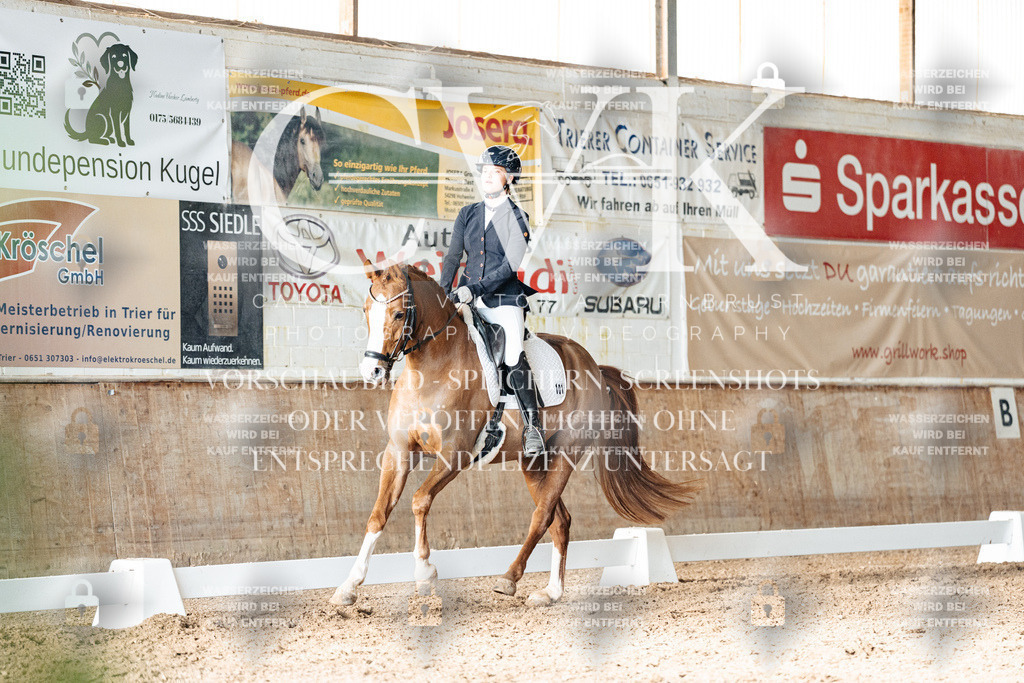CK903039 | Turnierfotografie Pferdefotografie Trier Rheinland-Pfalz Pferdesport Reitsport Tierfotografie Sportfotografie Pferdevideo Pferdevideografie Equestrianvideography equestrianphotography  - Realisiert mit Pictrs.com