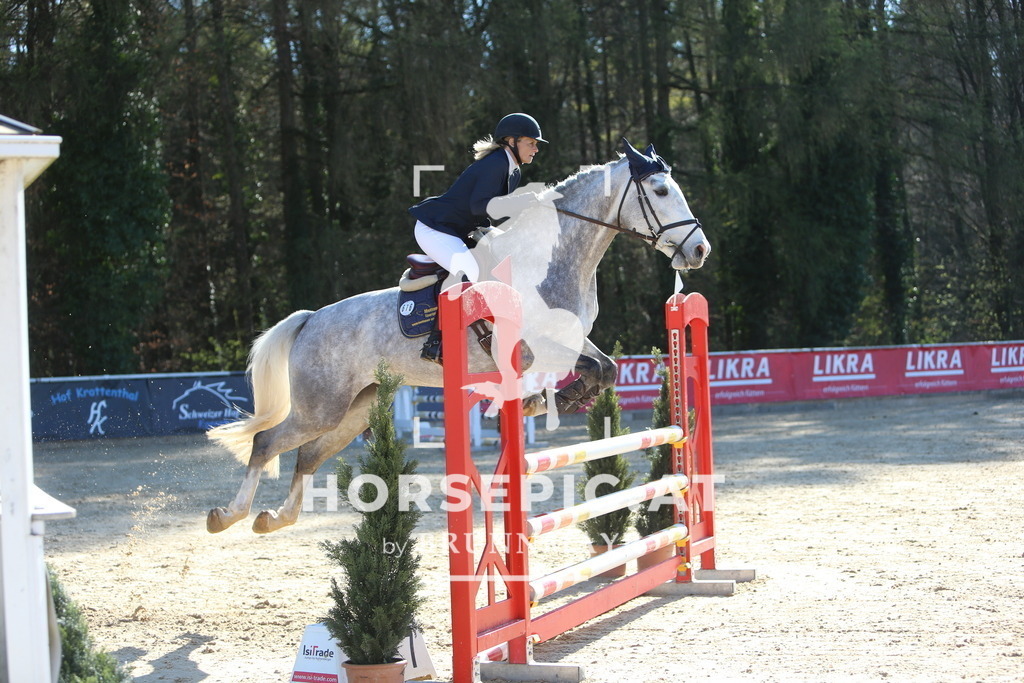 DL2Q1341 | Willkommen bei Brunnmayr - Design & Fotografie – Ihrem Spezialisten für Reitturniere und Pferdeveranstaltungen in Oberösterreich, Salzburg und Bayern! Seit über 17 Jahren sind wir leidenschaftlich dabei.