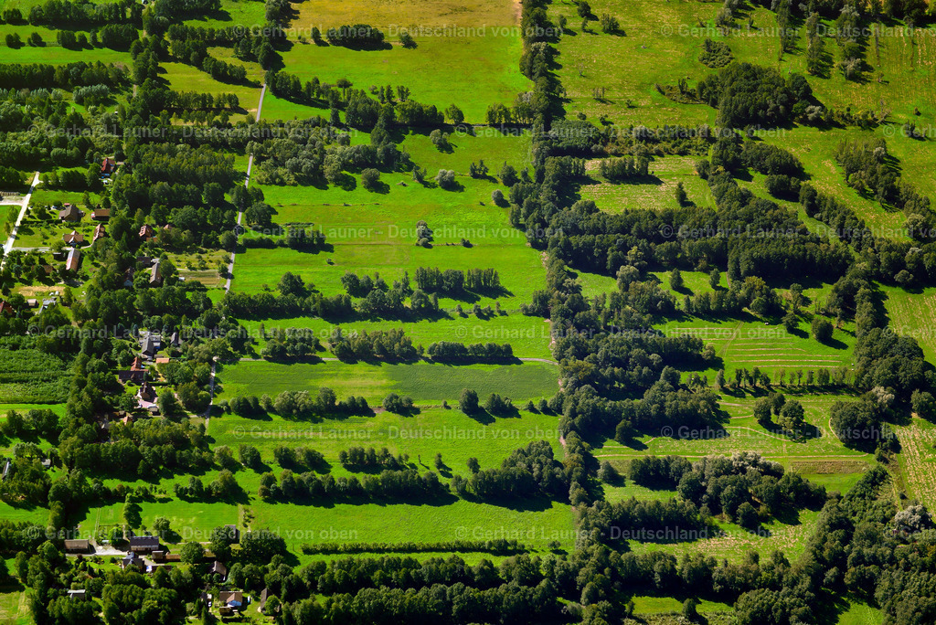 3637244 | BURG (SPREEWALD) 25.08.2016 Strukturen auf landwirtschaftlichen Feldern  in Burg (Spreewald) im Bundesland Brandenburg, Deutschland // Structures on agricultural fields  in Burg (Spreewald) in the state Brandenburg, Germany Foto: Gerhard Launer