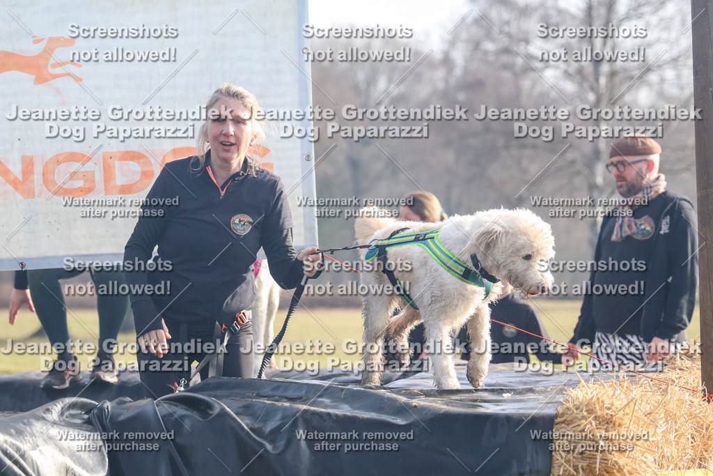 Dog Paparazzi - Strongdog North Mrz26-254 | Dog Paparazzi Jeanette Grottendiek Fotografie & Videografie - Realisiert mit Pictrs.com
