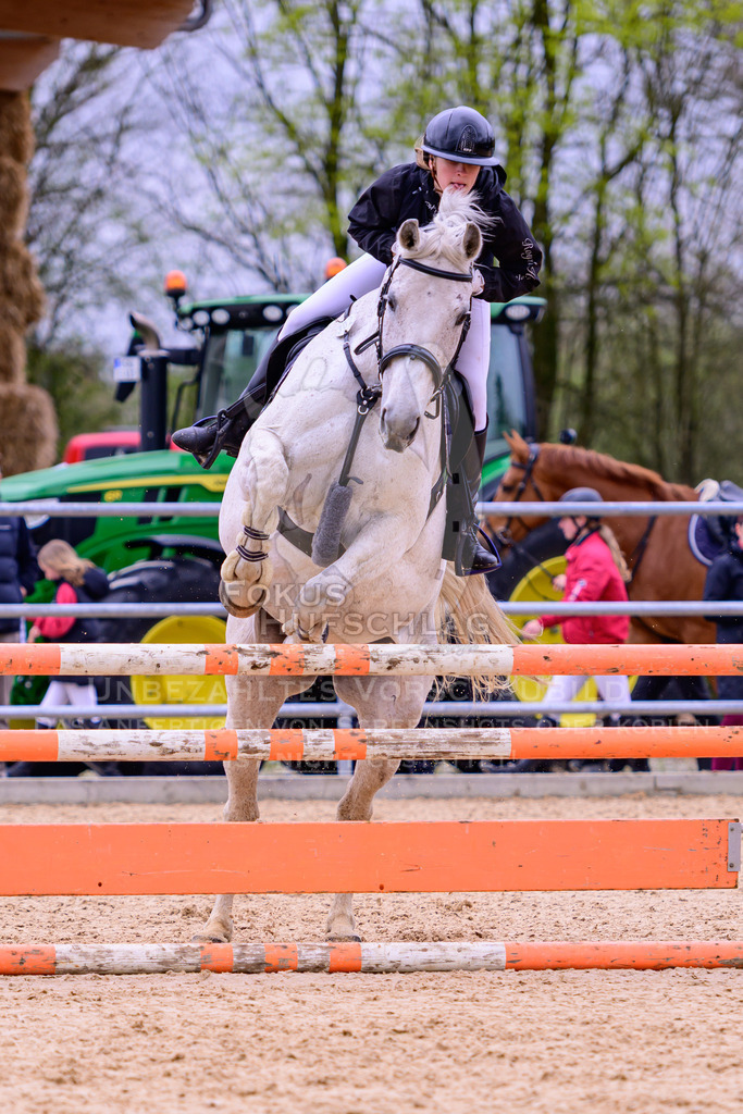 12042026-Mammendorf-Prfg39-0383 | Fokus Hufschlag Fotografie - Realisiert mit Pictrs.com
