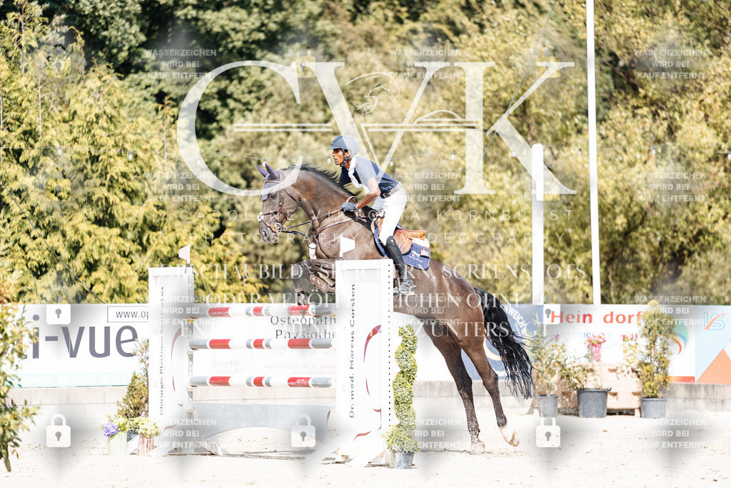 CK905394 | Turnierfotografie Pferdefotografie Trier Rheinland-Pfalz Pferdesport Reitsport Tierfotografie Sportfotografie Pferdevideo Pferdevideografie Equestrianvideography equestrianphotography  - Realisiert mit Pictrs.com