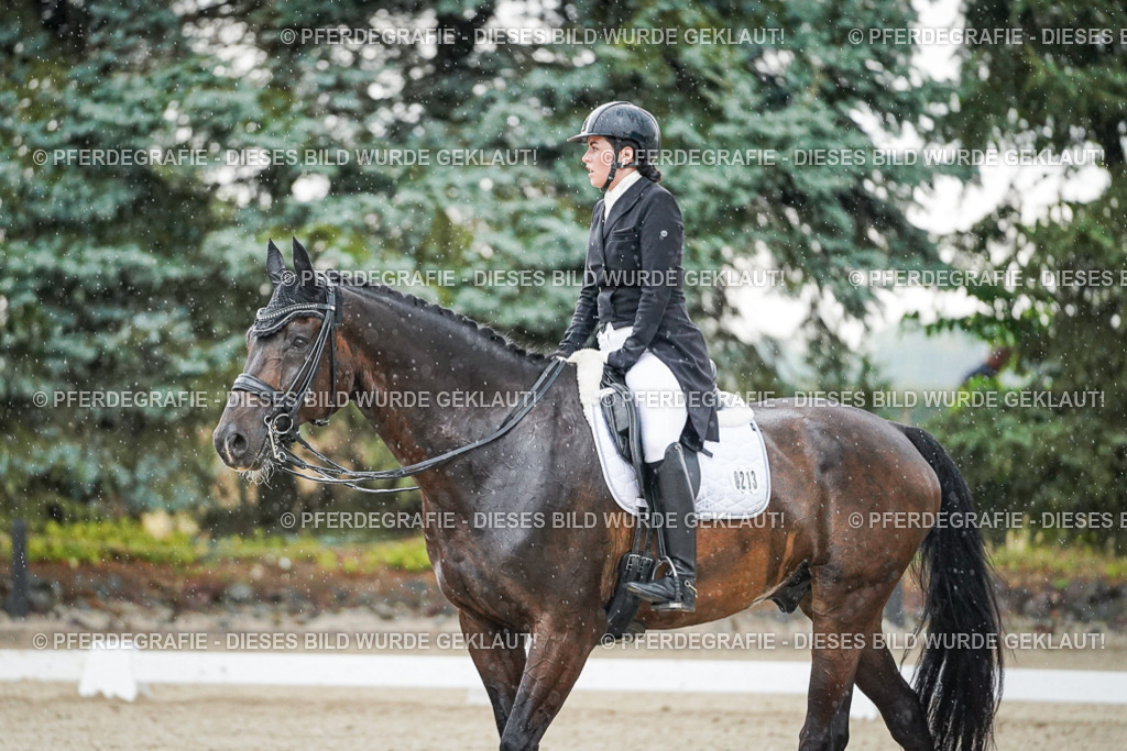 DSC08246 | Pferdegrafie