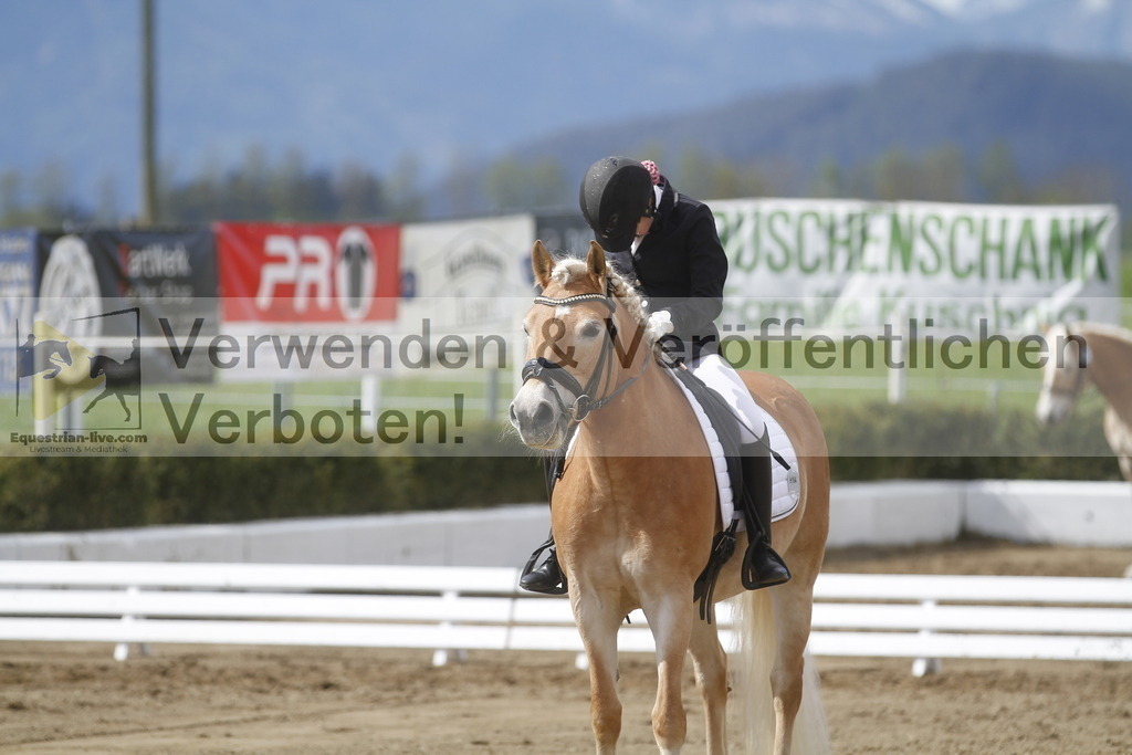 _MG_2732 | equestrian-live-com