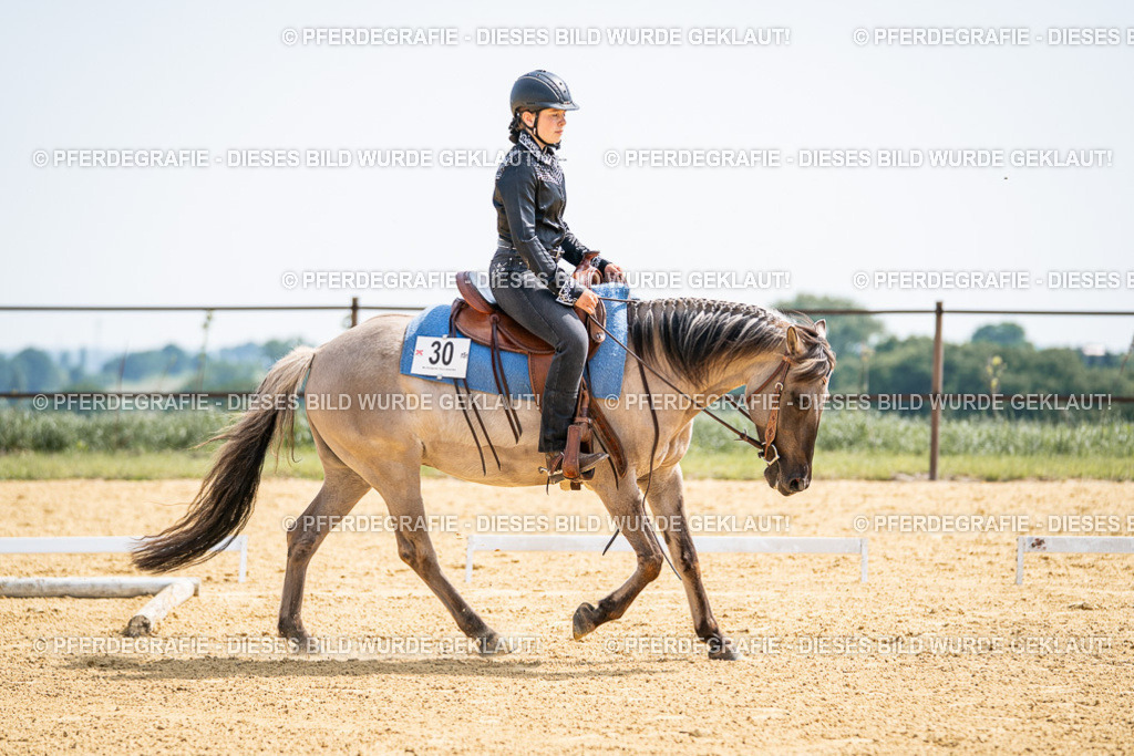 DSC09937 | Pferdegrafie