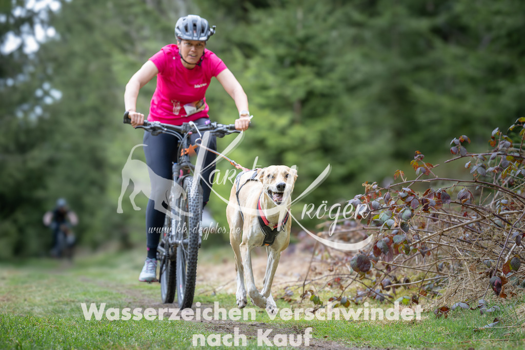 1310_ZZ93813-2 | kk-dogfotos